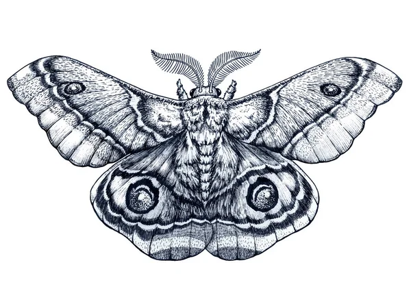 Butterfly tetování umění. Dotwork tattoo. Antherina suraka. Madagaskar bullseye moth — Stockový vektor