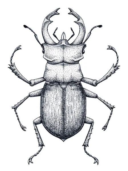 Escarabajo ciervo tatuaje arte. Lucanus cervus. Tatuaje de trabajo de punto. Insecto. Símbolo de autoridad, fuerza, poder y nobleza . — Archivo Imágenes Vectoriales