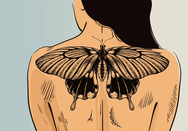 Tatouage Papillon Vecteur Image Vectorielle Sirazul