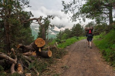 Kırmızı sırt çantası ve trekking direkleri ile adam orman üzerinden dağ yolu kadar gider. Kafkas Dağları, Boğaz Terskol