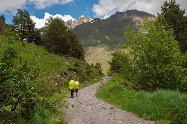 Twee reiziger met gele rugzakken en wandelstokken stijgt bergweg naar bos. Zonnige dag — Stockfoto