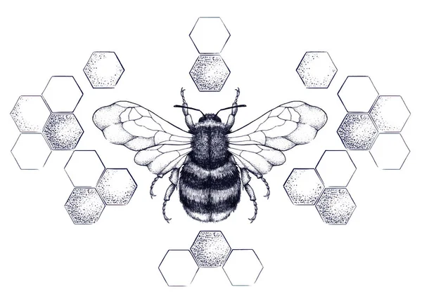 Honey Bee omringd door patroon van honingraten — Stockvector