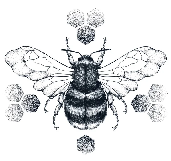 L'abeille rayée est assise sur des rayons de miel. Tatouage.T-shirt illustartion — Image vectorielle