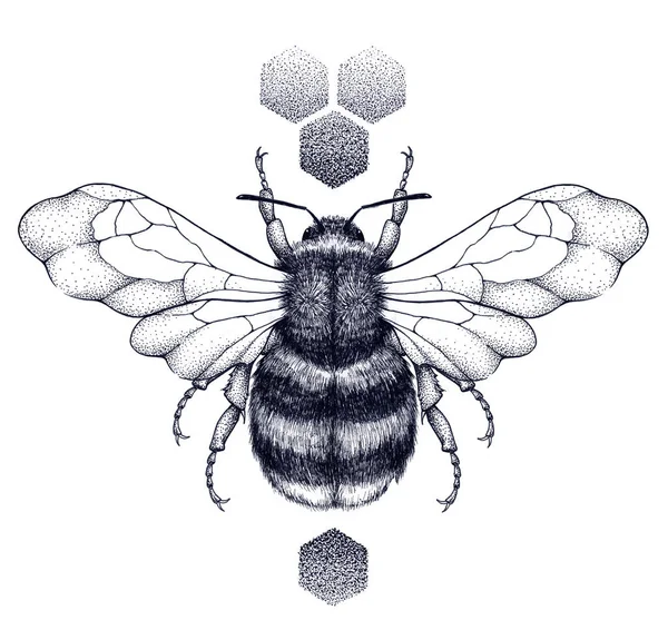 Honey bee and honeycomb tattoo. Dotwork tattoo. — Stock Photo, Image