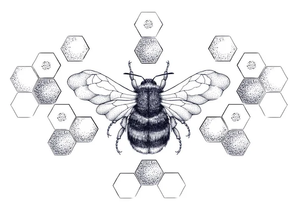 Медовая пчела, окруженная сотами — стоковое фото