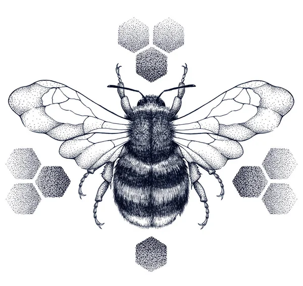 Striped honey bee sits on honeycombs. Tattoo.T-shirt illustartion — Stock Photo, Image