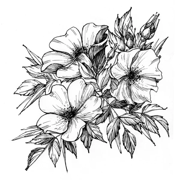 Tätowierter Blumenzweig. Zweig der blühenden Rose — Stockfoto