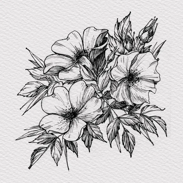 Татуювання гілки квітів. Гілка квітучої троянди — стокове фото