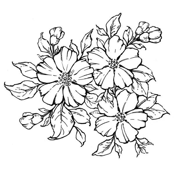 Татуювання гілки квітів. Гілка квітучої троянди — стокове фото