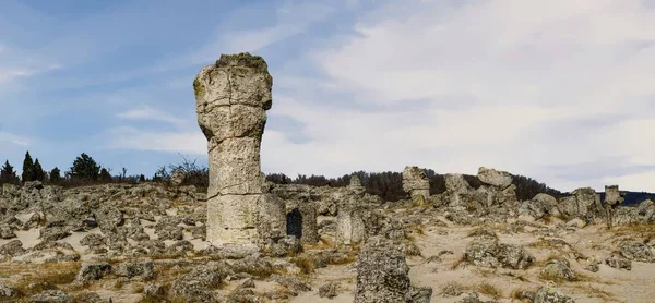 Bulgaristan 'ın Varna kenti yakınlarındaki Taş Ormanı
