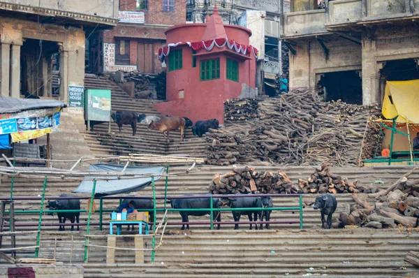 Heavy Lifting Buffalo trabajo en la cremación Ghats — Foto de Stock