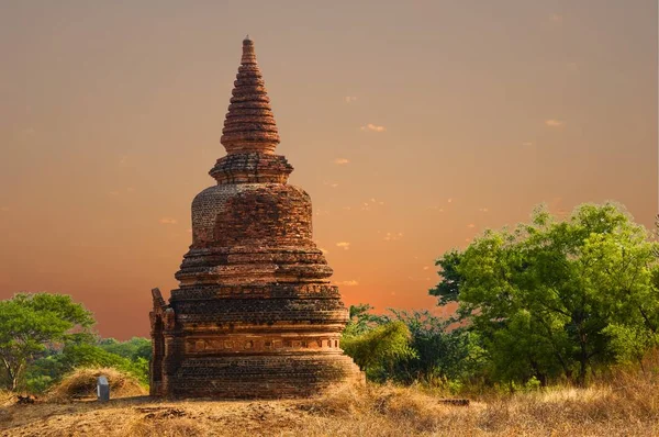 Tekil Reddish Stupa Kuru Çim Alan Sunrise