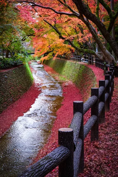 Érable Long Canal Dans Jardin Kitano Tenmangu Kyoto Japon — Photo