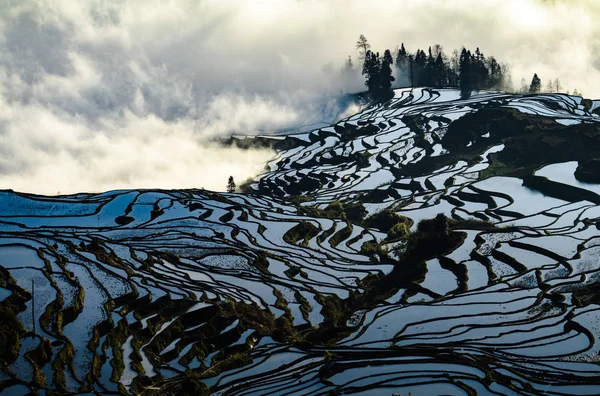 Yuanyang Rice Terrace Sunrise Yunnan China — Stock Photo, Image