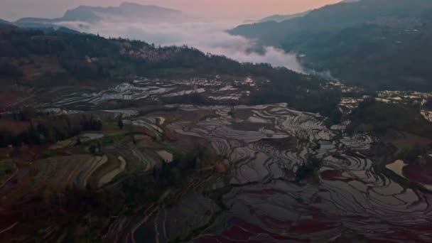 Vista Aérea Desde Dron Terraza Arroz Amanecer Yuanyang Yunnan China — Vídeo de stock