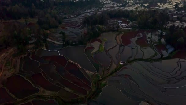 Vista Aérea Drone Terraço Arroz Nascer Sol Yuanyang Yunnan China — Vídeo de Stock