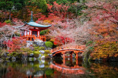Daigoji Tapınağı Güz, Kyoto, Japonya
