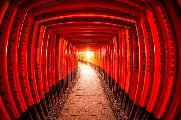 Portas Rolo Fushimi Inari Shrine Kyoto Japão — Fotografia de Stock