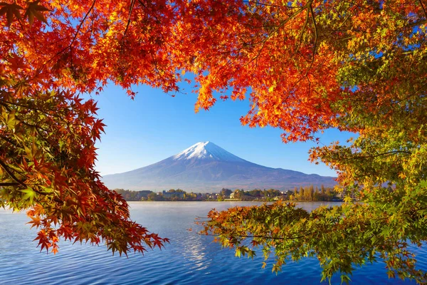 Fuji de montagne à l'érable rouge en automne, lac Kawaguchiko, Japon — Photo