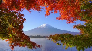 Sonbaharda kırmızı akçaağaçlı Fuji Dağı, Kawaguchiko Gölü, Japonya