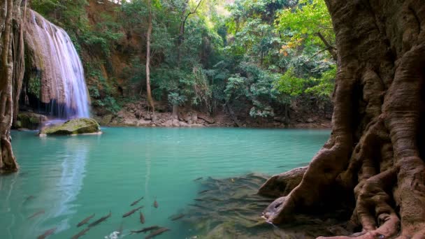 Водоспад Ераван Канчанабурі Таїланд — стокове відео