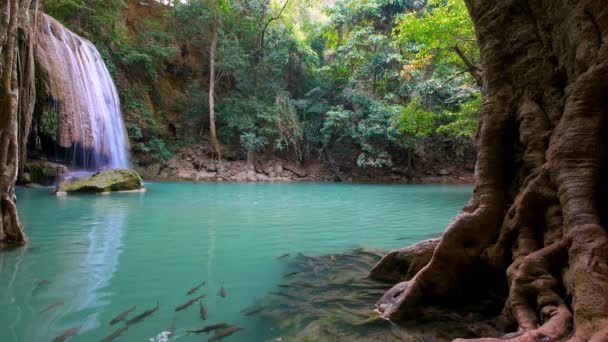 Καταρράκτης Erawan Kanchanaburi Ταϊλάνδη — Αρχείο Βίντεο