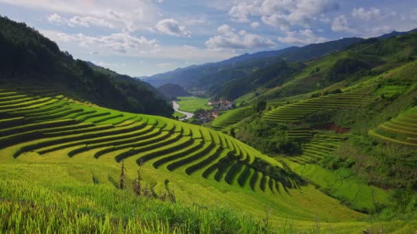 Terraced Rice Fields Cang Chai Yen Bai Vietnam — Stock Video