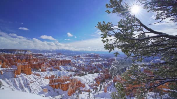 Εθνικό Πάρκο Bryce Canyon Χειμώνα Γιούτα Ηπα — Αρχείο Βίντεο