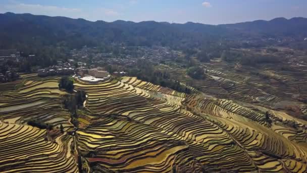 Вид Воздуха Drone Fly Yuanyang Rice Terrace Yunnan China — стоковое видео