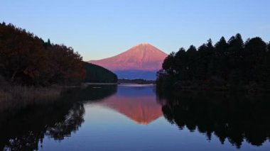 Mt. Fuji Tanuki Gölü, Fujinomiya, Shizuoka, Japonya