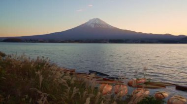 Önü çimlerle kaplı Fuji Dağı, Kawaguchiko Gölü, Japonya