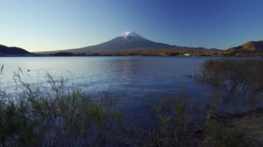 Önü çimlerle kaplı Fuji Dağı, Kawaguchiko Gölü, Japonya