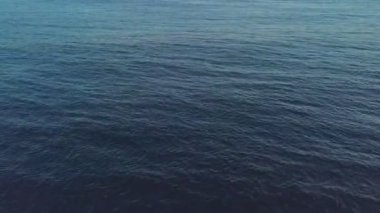 Deniz üzerinde uçan hava aracı Fuji, Shizuoka, Japonya 'ya gidiyor.