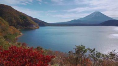 Ağaç önayaklı Fuji Dağı, Motosuko Gölü, Japonya