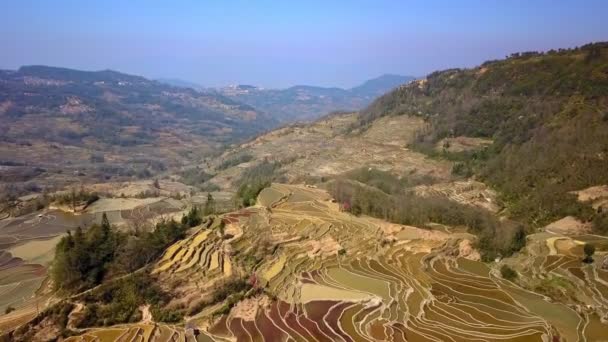 Vista Aerea Drone Volare Sopra Yuanyang Terrazza Riso Yunnan Cina — Video Stock