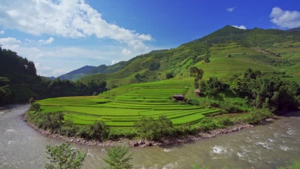 Terraced Rice Fields Cang Chai Yen Bai Wietnam — Wideo stockowe