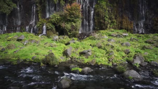 Cascade Shiraito Avec Arc Ciel Automne Japon — Video