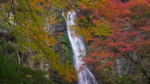Minoo Cascada Con Hoja Arce Rojo Otoño Osaka Japón — Vídeo de stock