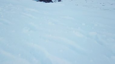 Londrangar uçurumlarına, Snaefellsnes, İzlanda 'ya uçan hava aracı.