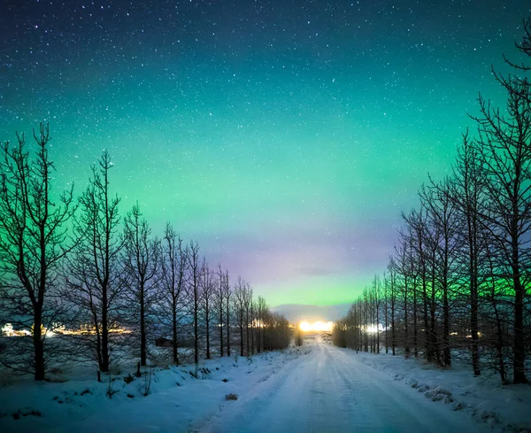 欧洲冬季北极光笼罩在冰冻的树木和覆盖着积雪的道路上 — 图库照片
