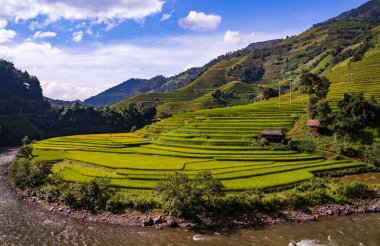 Teraslı pirinç tarlaları, Mu Cang Chai, Yen Bai, Vietnam
