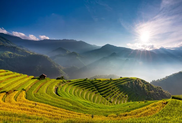 Sunset Terraced Rice Field Lens Flares Cang Chai Yen Bai — Stock Photo, Image