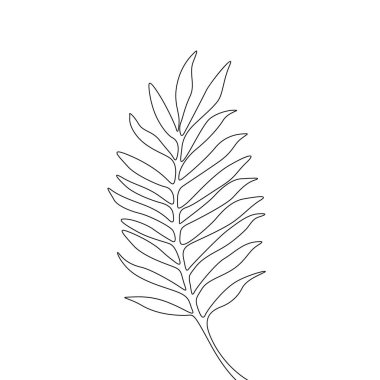 Bir çizgi çizim areca yaprağı. Sürekli hat egzotik tropikal bitki.
