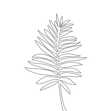 Bir çizgi çizim areca palmiye yaprağı. Sürekli hat egzotik tropikal bitki.