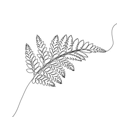 Eğrelti otu çizen bir çizgi. Sürekli hat egzotik tropikal bitki.