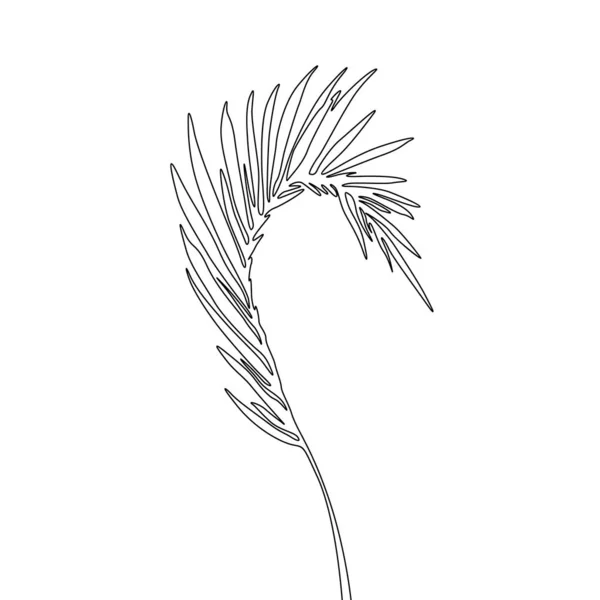 Одна Линия Рисует Пальмовый Лист Арека Непрерывная Линия Экзотических Тропических — стоковый вектор