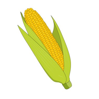 Beyaz arka planda kabukmısır - Vektör