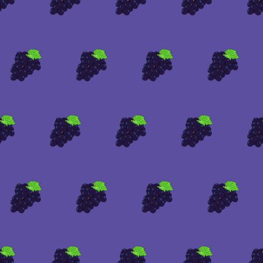 Üzüm dikişsiz desen, vektör. Mor arka plan.