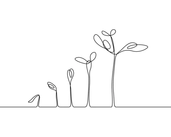 Desenho Contínuo Uma Linha Processo Crescimento Plantas Ilustração Vetorial —  Vetores de Stock