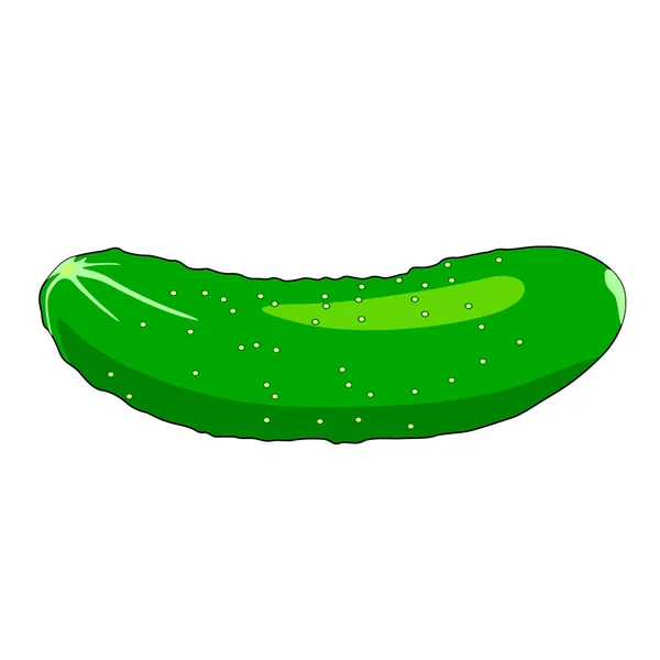 Pepino Sobre Fondo Blanco Vector — Vector de stock